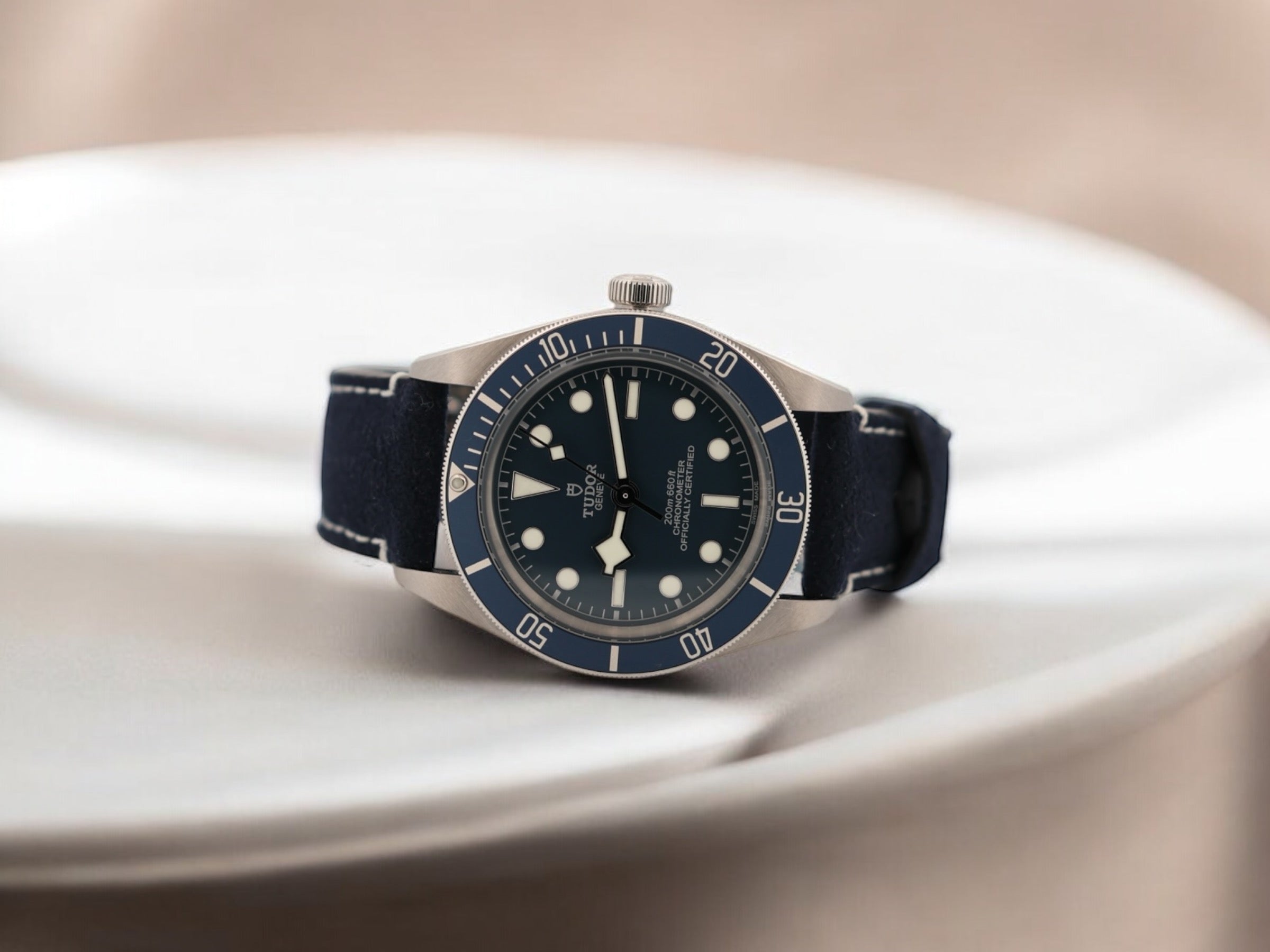 Tudor Black Bay 58 M79030B-0002, 2022